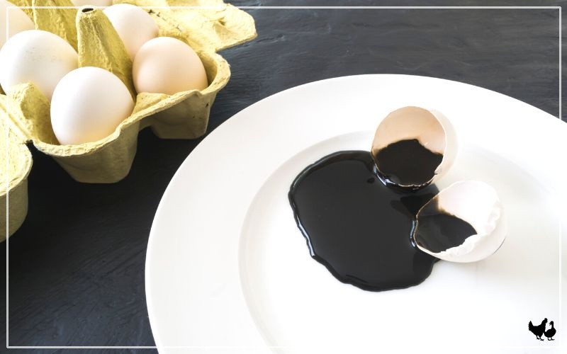 black yolk chicken eggs